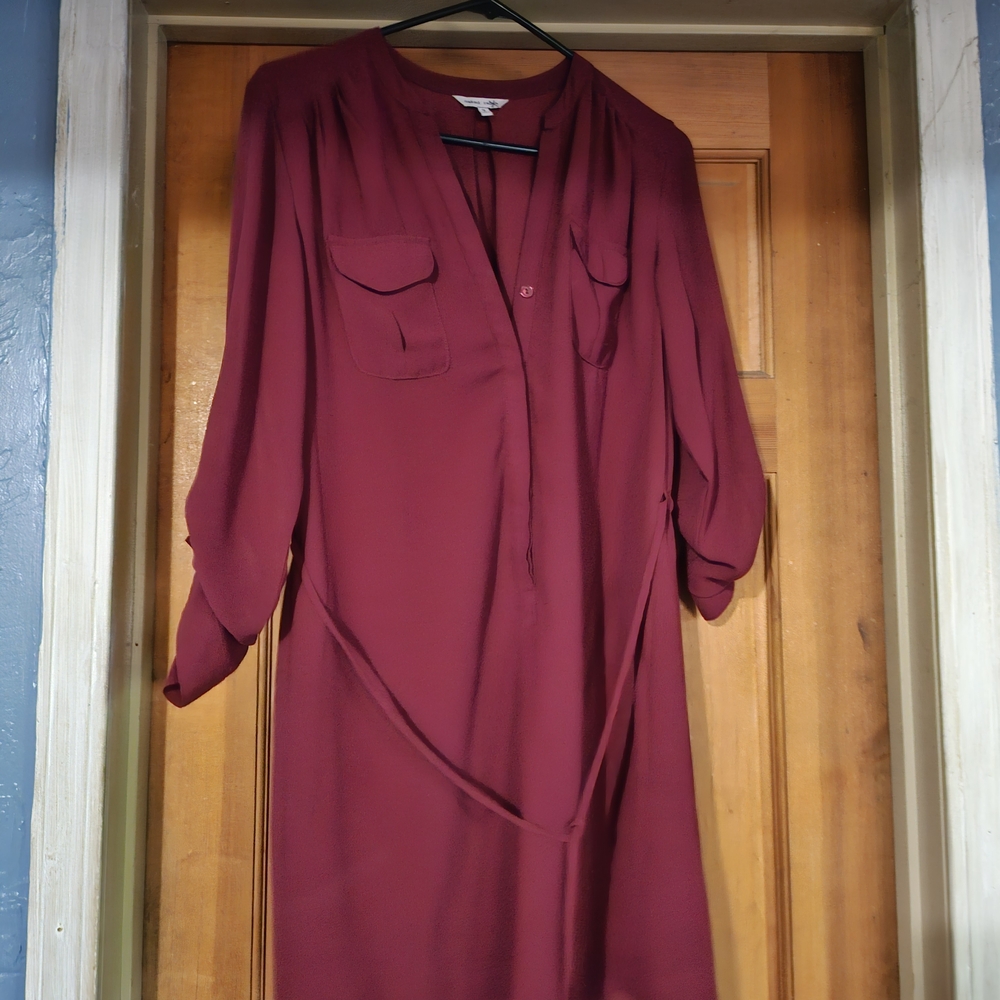 Naked Zebra Red Bishop Sleeve V-Neck Dress